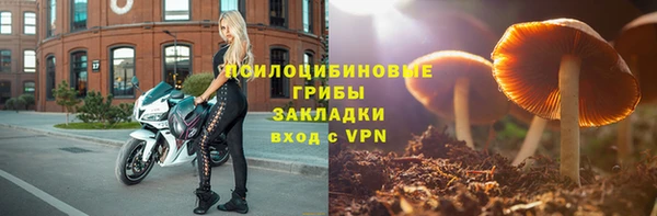 скорость Абаза
