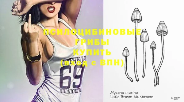 каннабис Новодвинск