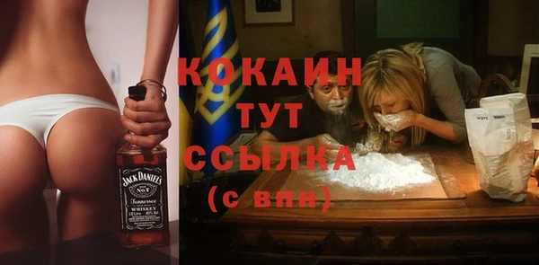 прущие крисы Новозыбков