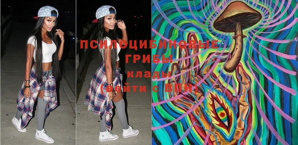 прущие крисы Новозыбков