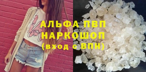 прущие грибы Нефтегорск