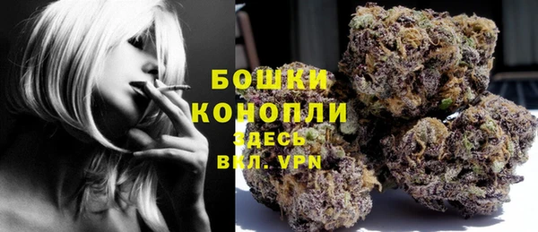 прущие грибы Нефтегорск