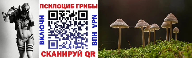 Галлюциногенные грибы Psilocybe  купить  цена  Белёв 
